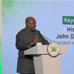 "Health is wealth": Mahama calls for rethink on healthcare investment in Africa