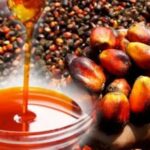 OPDAG raises alarm over smuggled oil, Calls for traceability and stronger domestic production