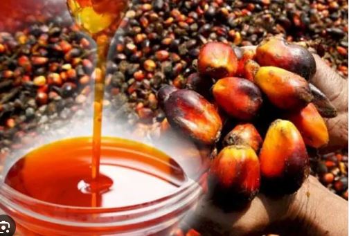 OPDAG raises alarm over smuggled oil, Calls for traceability and stronger domestic production