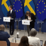 Sweden’s new health minister collapses during first press conference