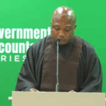 Government to introduce E-Visa System in early 2026 to ease travel for Africans in the diaspora