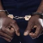 Police, NACOC seize 1,195 boxes of tramadol in Nalerigu