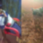 Gunmen kill four in 24 hours in Bawku