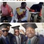 Bees distrupt Apostolic Church anniversary in Koforidua