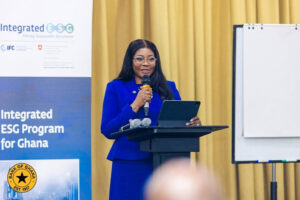 Africa’s $1tn financial potential constrained by fragmented markets – BoG