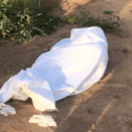 3-year-old boy dies, 10 injured in bee attack at Agona Swedru