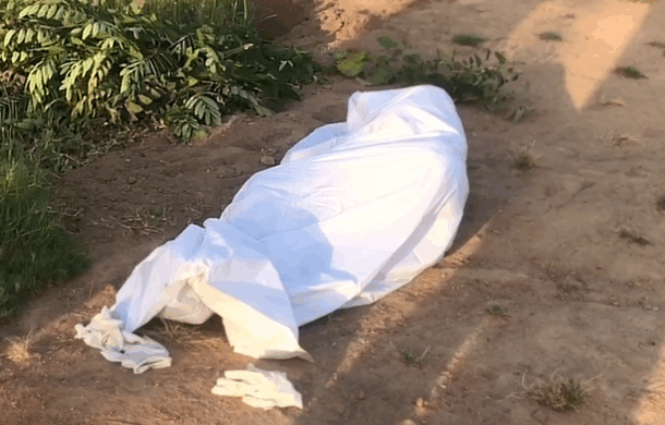 3-year-old boy dies, 10 injured in bee attack at Agona Swedru