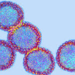 GHS issues urgent alert as seasonal flu cases surge