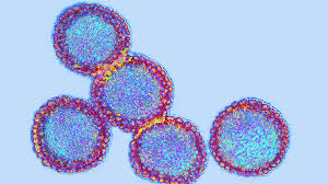 GHS issues urgent alert as seasonal flu cases surge