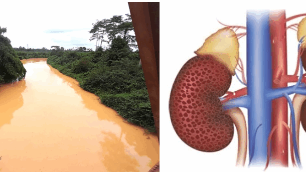 EPA chases $200,000 to pilot ‘dechemicalisation’ of poisoned rivers