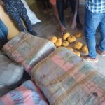 Police seize truck loaded with 2,250 parcels of suspected indian hemp in Central Region