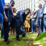 BoG Governor marks Cedi@60 with symbolic tree-planting exercise