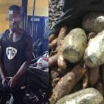Police arrest man possessing 18 slabs of Indian hemp at Ashaiman