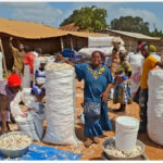 Kpassa farmers lament falling prices as buyer turnout drops