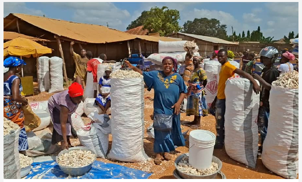 Kpassa farmers lament falling prices as buyer turnout drops