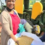 UDS releases new drought-tolerant cowpea varieties