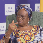 Lands Ministry rejects Sophia Akuffo’s call for ban on mining