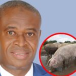 Kyebi residents drink water with pigs — Deputy Lands Minister claims