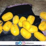 Police intercept huge cannabis cargo on Agordeke–Donkorkrom road