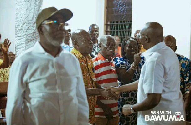 NPP Primaries: beautiful spectre in Akwatia as Chairman, parliamentary candidate and Ama Sey unite for Bawumia