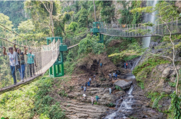 Amedzofe canopy walk shut indefinitely after collapse injures tourists