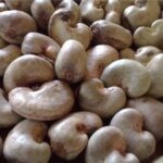 Gov't approves GHS12 minimum price for raw cashew nuts for 2025/2026 season