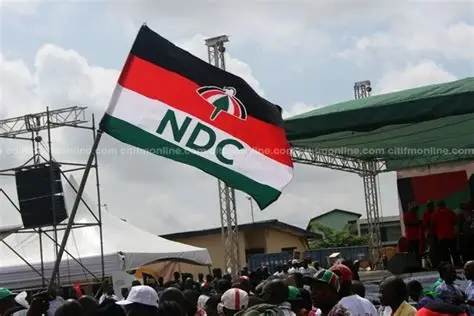 Kpandai: The NDC meeting was not disrupted by bees- NDC