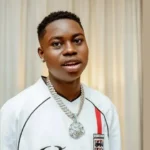 Peller apologises to Nigerians following arrest for reckless driving