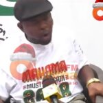NDC activist blasts Fifi Kwetey over Mahama third-term agenda