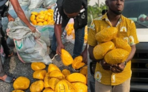 Police arrest 38-year-old man over suspected narcotic drug transport in Volta Region