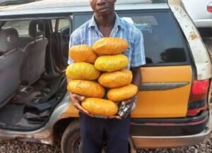 Taxi driver arrested with 37 parcels of suspected marijuana in Ho