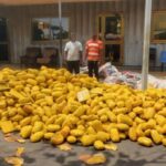 Police intercept truckload of suspected narcotics in Tema; two arrested over GHc150,000 bribe