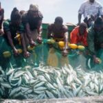 ‘Galamsey At Sea’: Unregulated fishing and industrial trawlers rob local fishers of iivelihoods