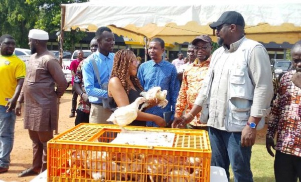 Deputy Agric Minister distributes 100,000 birds to boost government’s poultry expansion drive
