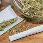 NACOC to begin licensing for medicinal and industrial cultivation of cannabis