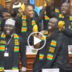 Minority ambushes Mahama with cocoa pods during SONA