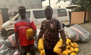 Police arrest two over suspected narcotics trafficking in Volta North