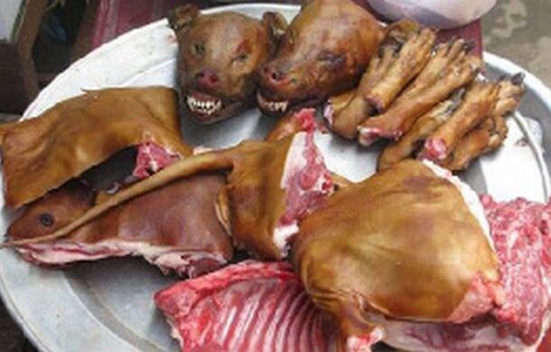 Campaigner against the consumption of dog and cat meat nearly lynched in Bolgatanga