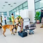 Cocaine hidden in packaged gari intercepted at Kotoka Airport