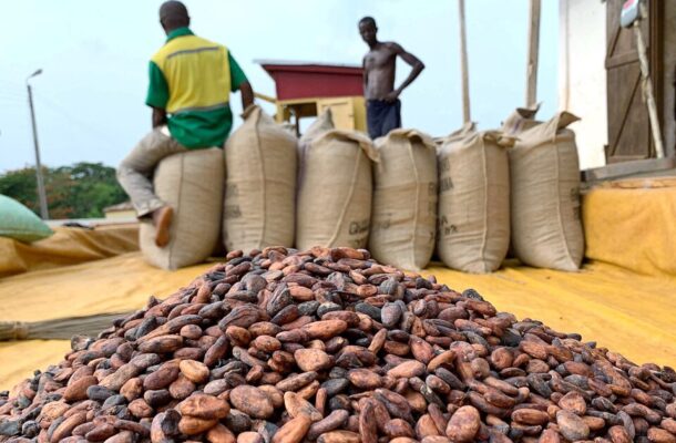 Document surfaces to challenge alleged cocoa syndication loan under Akufo-Addo