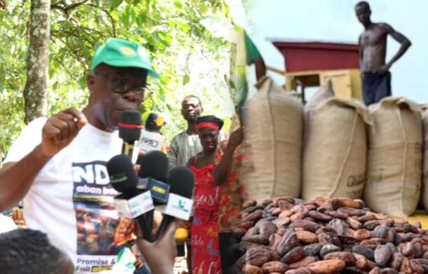 Minority raises alarm over possible second Cocoa price cut