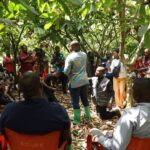 Akwasi Acquah joins Minority Caucus on a tour of cocoa-growing communities in Eastern Region