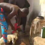 Abura Dunkwa Gyasehene destooled for having sex with fetish priestess