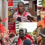 Prof. Kwesi Yankah writes: The farmer’s haircut and Nana Addo’s stone