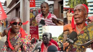 Prof. Kwesi Yankah writes: The farmer’s haircut and Nana Addo’s stone