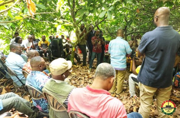 Akufo-Addo didn’t cut cocoa price even during COVID - Farmers cry out
