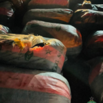 Navy intercepts major suspected cannabis shipment along coast