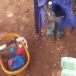 ‘Sukudai’ cocktail poses serious kidney and liver risks after lab tests kill rats within 24 hours