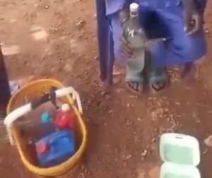 ‘Sukudai’ cocktail poses serious kidney and liver risks after lab tests kill rats within 24 hours