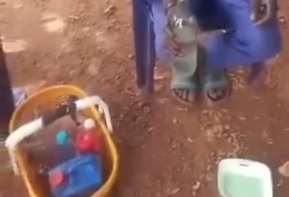 ‘Sukudai’ cocktail poses serious kidney and liver risks after lab tests kill rats within 24 hours